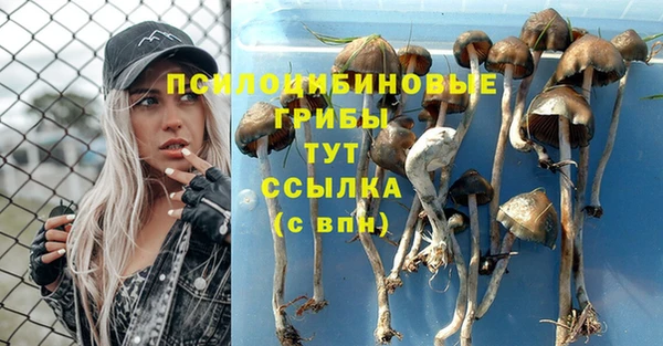 ALPHA PVP Волоколамск